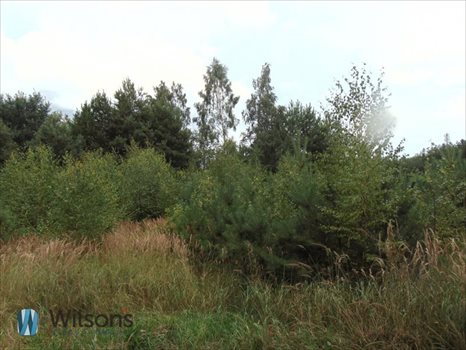 Działka budowlana na sprzedaż Kopana 1 431m2 Foto 3