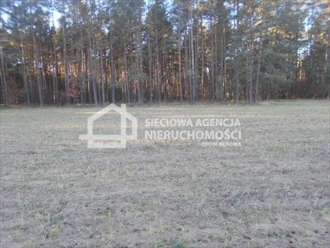 Działka budowlana na sprzedaż Rokity 1 246m2 Foto 12
