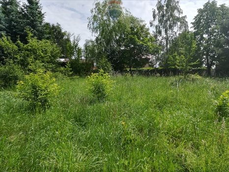 Działka rekreacyjna na sprzedaż Zarzęcin 300m2 Foto 4