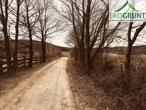 Działka budowlana na sprzedaż Sulistrowice, Nowa 1 350m2 Foto 1