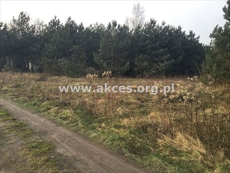Działka budowlana na sprzedaż Łoś, Łoś 1 000m2 Foto 3