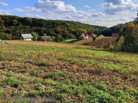 Działka budowlana na sprzedaż Owczary 3 000m2 Foto 6