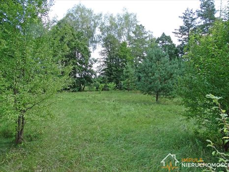 Dom na sprzedaż Frącki 320m2 Foto 8