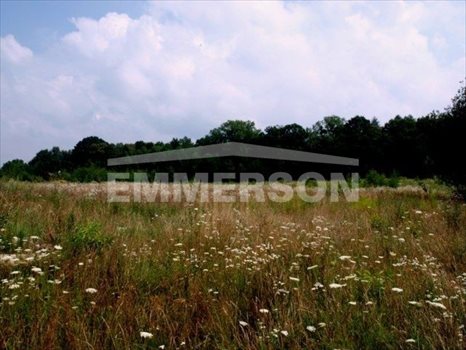 Działka inwestycyjna na sprzedaż Nałęczów 20 400m2 Foto 2