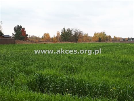 Działka budowlana na sprzedaż Wólka Kozodawska 16 000m2 Foto 4