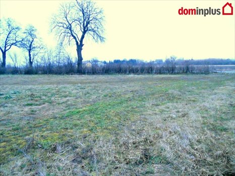Działka inna na sprzedaż Kończewice 3 000m2 Foto 1