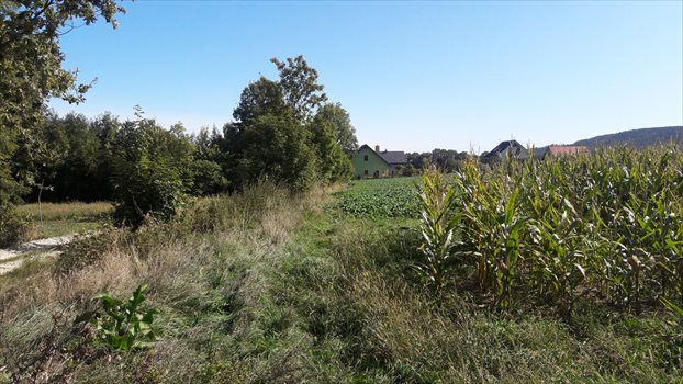 Działka budowlana na sprzedaż Będkowice 1 014m2 Foto 8