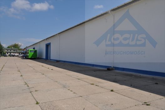 Lokal użytkowy na sprzedaż Nowy Konik 2 300m2 Foto 13