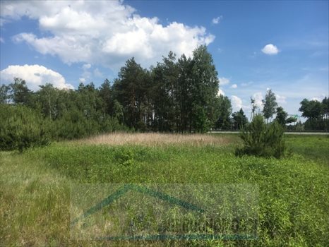 Działka przemysłowo-handlowa na sprzedaż Emilianów, wjazd z węzła trasy S8 Wola Rasztowska 56 264m2 Foto 9