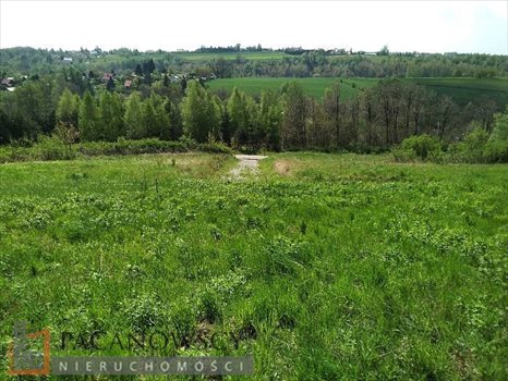Działka budowlana na sprzedaż Wierzchowie 1 750m2 Foto 5