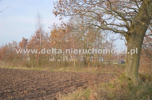 Działka budowlana na sprzedaż Pieńkowo 665m2 Foto 3