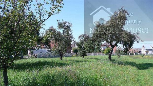 Działka budowlana na sprzedaż Tarnobrzeg, Tarnobrzeg 1 500m2 Foto 2