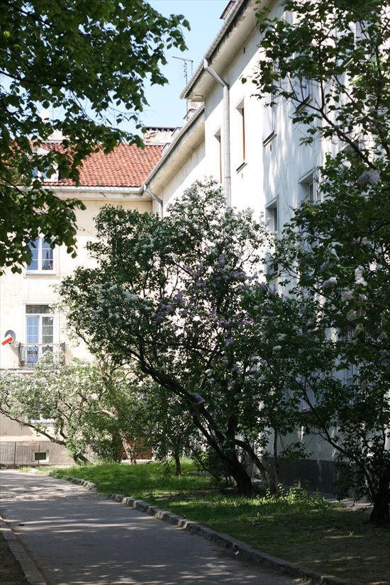Mieszkanie dwupokojowe na wynajem Warszawa, Śródmieście, Elektoralna 4/6 43m2 Foto 8