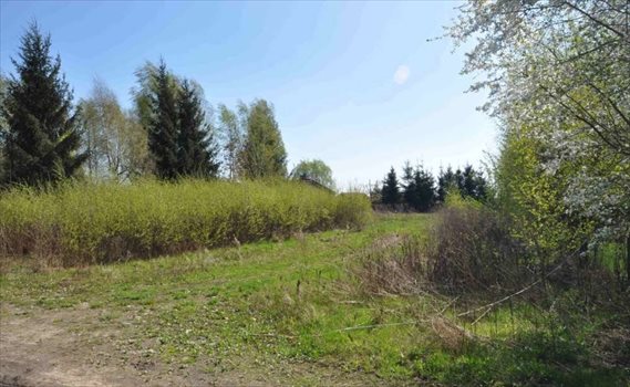 Działka budowlana na sprzedaż Promienko, Tawułowa 1 200m2 Foto 4