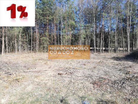 Działka leśna na sprzedaż Kołbiel 4 900m2 Foto 5
