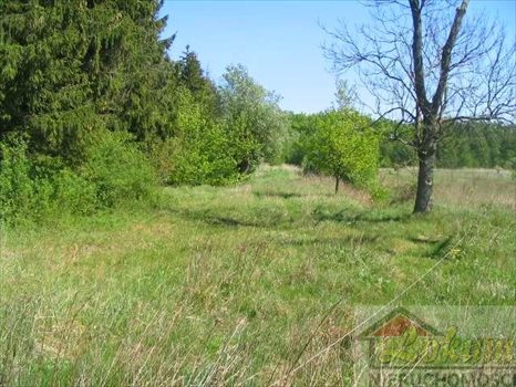 Działka rolna na sprzedaż Łukęcin 1 000m2 Foto 2