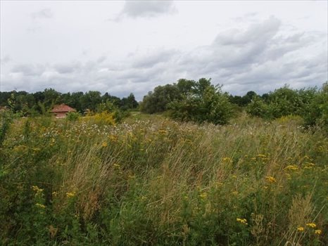 Działka budowlana na sprzedaż Dobra 1 427m2 Foto 4