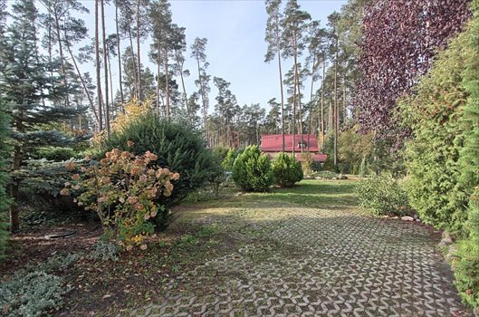 Dom na sprzedaż Morzyczyn 40m2 Foto 4