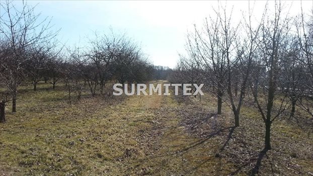 Działka budowlana na sprzedaż Jeziorzany 81 850m2 Foto 3