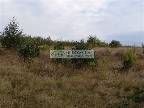 Działka budowlana na sprzedaż Bojano 3 932m2 Foto 9