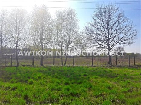 Działka budowlana na sprzedaż Jaktorów 4 500m2 Foto 10