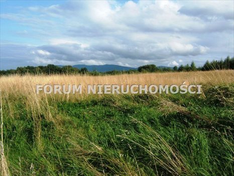 Działka budowlana na sprzedaż Bielsko-Biała, Stare Bielsko 3 240m2 Foto 5