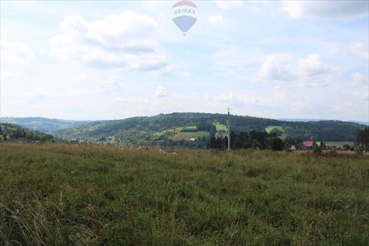 Działka budowlana na sprzedaż Rabka-Zdrój 4 338m2 Foto 7