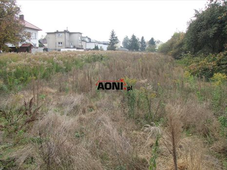 Działka budowlana na sprzedaż Ostrów Wielkopolski, Kaliska 5 896m2 Foto 4