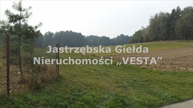 Działka inna na sprzedaż Jastrzębie-Zdrój, Bzie Zameckie 1 200m2 Foto 3