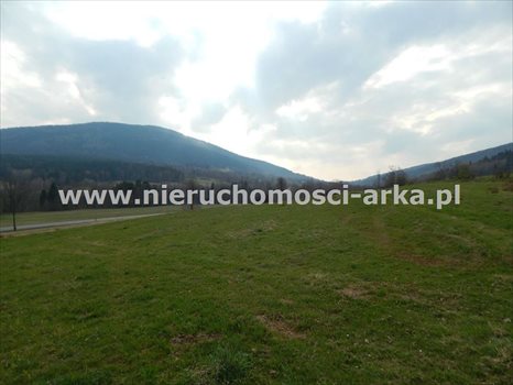 Działka budowlana na sprzedaż Dobra 3 700m2 Foto 2