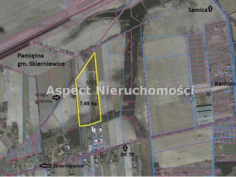 Działka rolna na sprzedaż Pamiętna 74 900m2 Foto 1