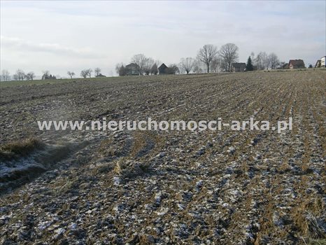 Działka budowlana na sprzedaż Męcina 5 800m2 Foto 8