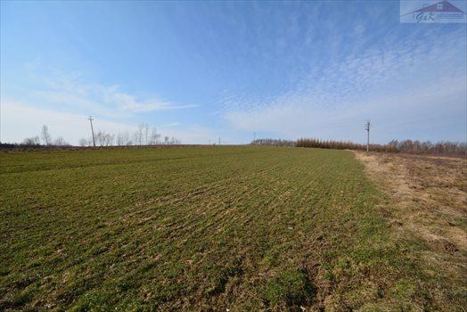 Działka rekreacyjna na sprzedaż Drohobyczka 5 800m2 Foto 10