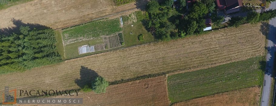 Działka budowlana na sprzedaż Sieborowice 2 600m2 Foto 1