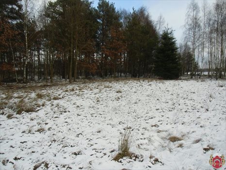 Działka budowlana na sprzedaż Dobrzewino, Ratanowa 1 448m2 Foto 3