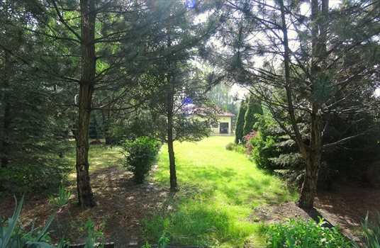 Dom na sprzedaż Międzyborów 80m2 Foto 4