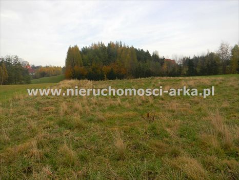 Działka budowlana na sprzedaż Żegocina 3 100m2 Foto 1