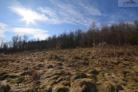 Działka rekreacyjna na sprzedaż Babice 2 400m2 Foto 5