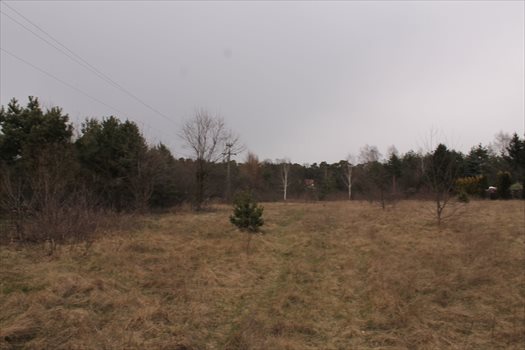 Działka rolna na sprzedaż Konstantynów Łódzki, Żabiczki 11 000m2 Foto 8