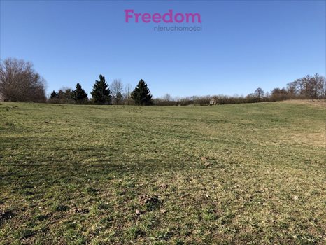 Działka inna na sprzedaż Krzywe 7 900m2 Foto 7