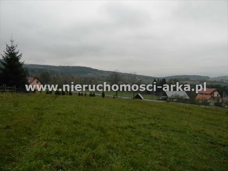 Działka inna na sprzedaż Limanowa 2 200m2 Foto 6