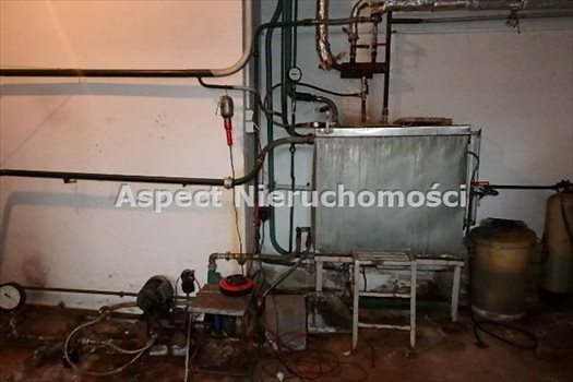 Lokal użytkowy na sprzedaż Pszczyna 4 000m2 Foto 12