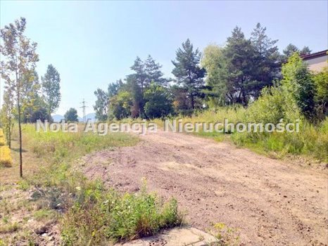 Działka inwestycyjna na sprzedaż Wałbrzych, Śródmieście 1 300m2 Foto 1
