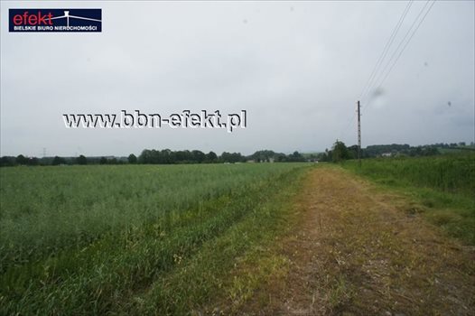 Działka budowlana na sprzedaż Międzyrzecze Dolne 4 959m2 Foto 3