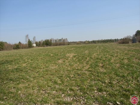 Działka komercyjna na sprzedaż Gdynia, Wiczlino, Wiczlińska 6 780m2 Foto 4