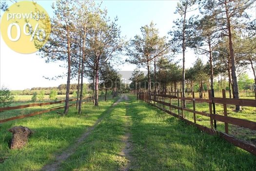 Działka budowlana na sprzedaż Kamieńczyk 1 000m2 Foto 4