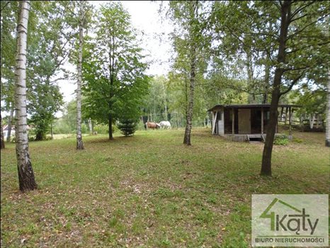 Działka budowlana na sprzedaż Mątki, Mątki, Mątki 4 300m2 Foto 8