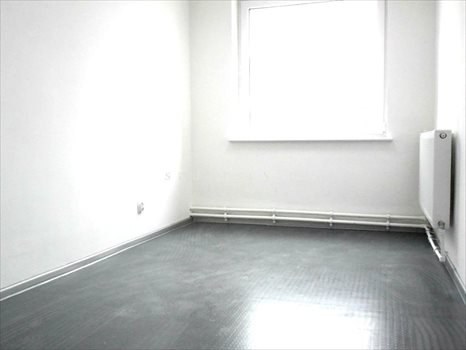 Lokal użytkowy na wynajem Piaseczno 250m2 Foto 11