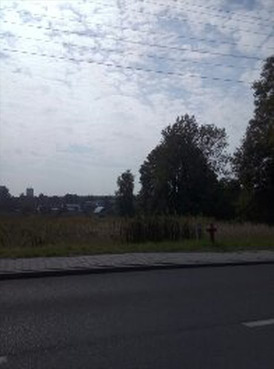 Działka budowlana na sprzedaż Zabrze, ul. Grunwaldzka 5 260m2 Foto 6