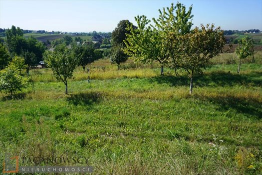 Działka budowlana na sprzedaż Sieborowice 10 000m2 Foto 3
